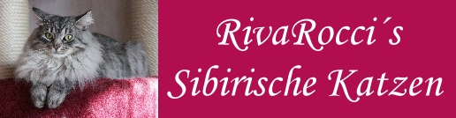 Riva Rocci's Sibirische Katzen
